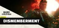 Cod black ops cold war dismemberment bullets weapons