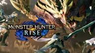 Mh rise generic banner