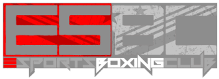 ESports Boxing Club Roster - Full List of Fighters