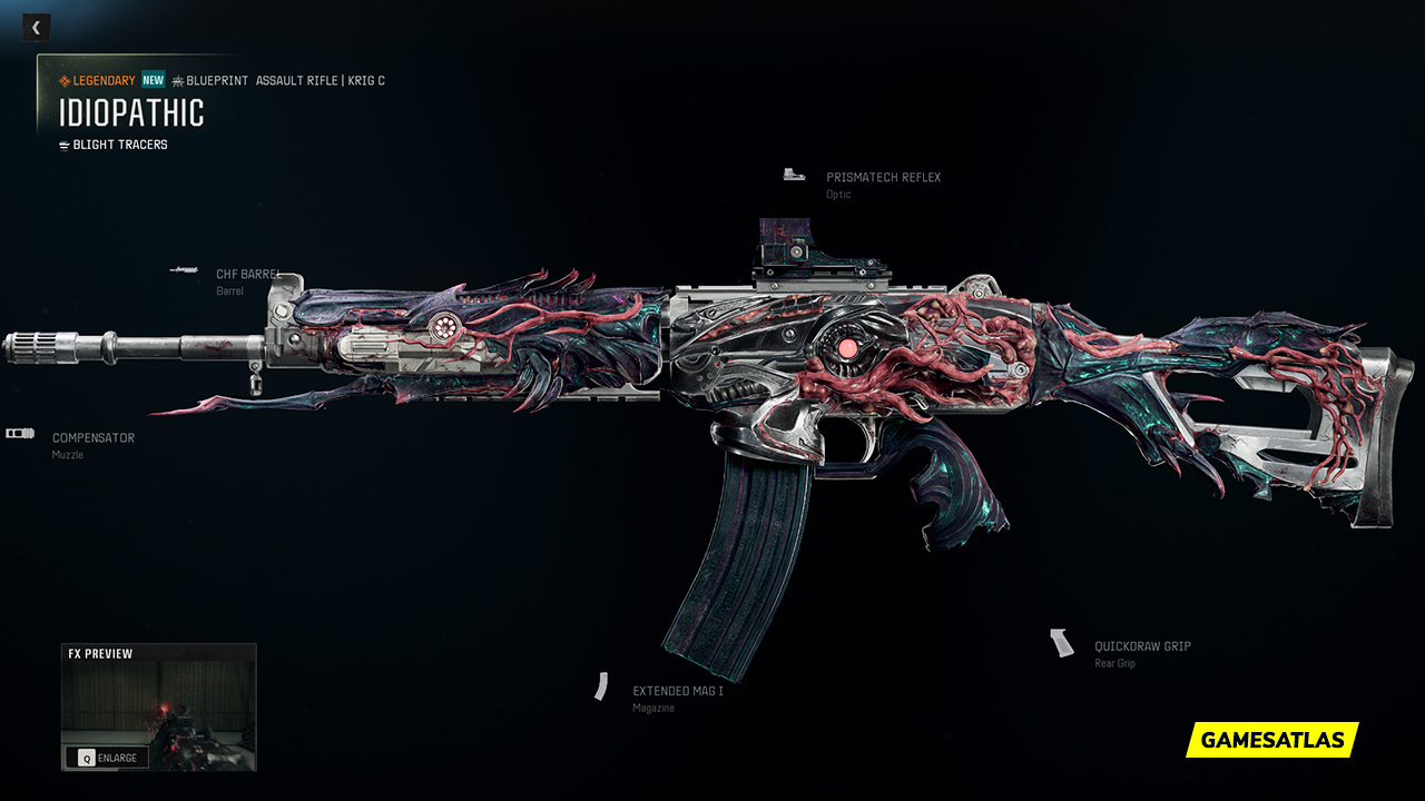 Idiopathic - Warzone and Black Ops 6 Blueprint