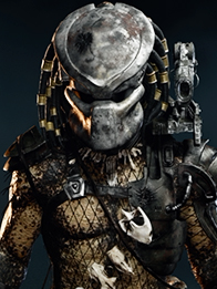 Predator Predator