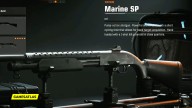 Marine sp 2